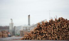 runka group увеличение производства деревообрабатывающей промышленности