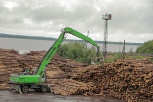 Онега, заготовка брёвен, лесопромышленность