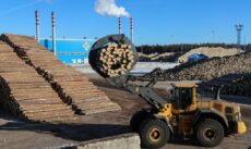 архангельск увеличивает обороты по продажам пиломатериалов