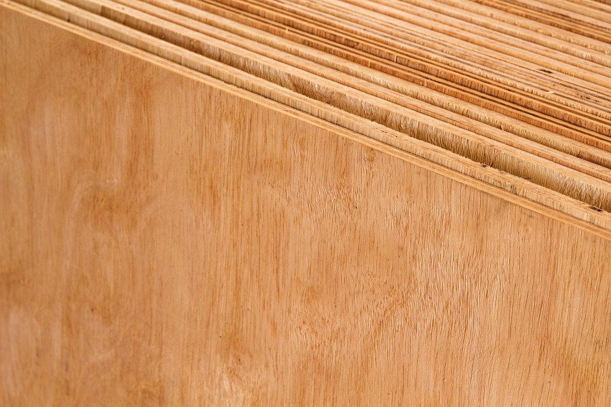 Чем березовая фанера отличается от хвойной